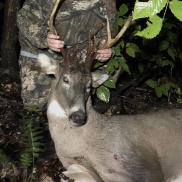 Meet your Posher, Blake - Picture 1 of 1